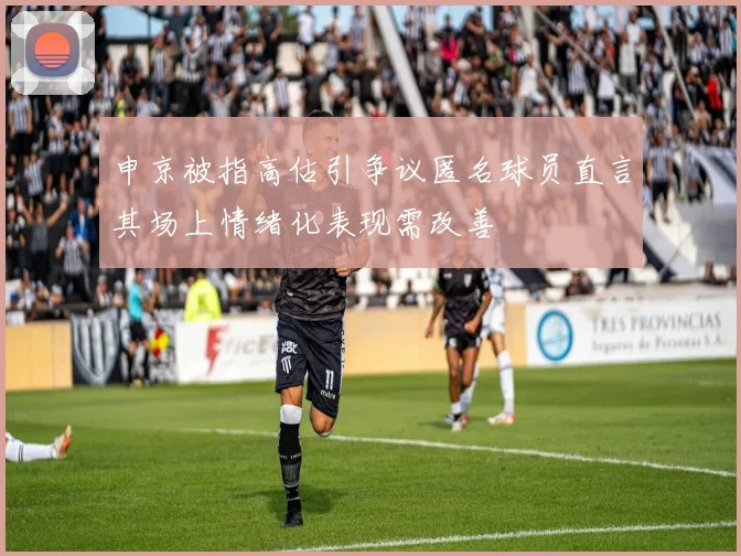 申京被指高估引争议匿名球员直言其场上情绪化表现需改善