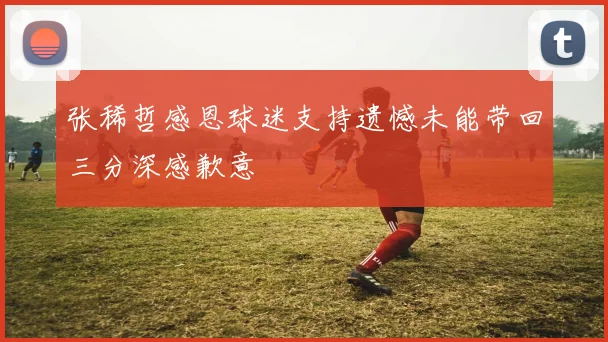 张稀哲感恩球迷支持遗憾未能带回三分深感歉意