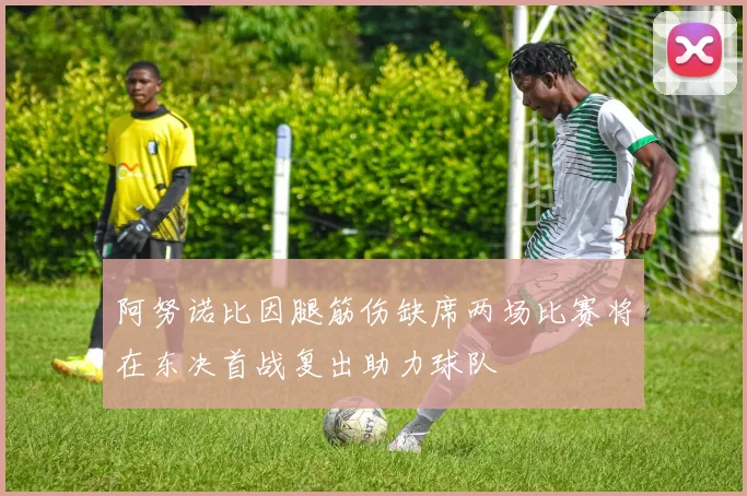 阿努诺比因腿筋伤缺席两场比赛将在东决首战复出助力球队